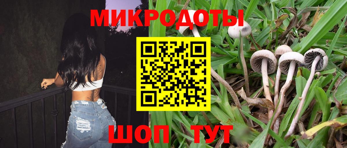 Псилоцибиновые грибы Psilocybine cubensis Кострома